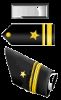 Lieutenant Junior Grade (Ltjg) (O-2), United States Navy