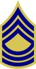 Master Sergeant, United States Army (Combat Arms)