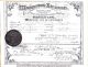 Marriage License, McDowell, John W and Hardy, Meda
