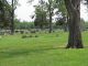 Bond Cemetery, Knobel, Clay County, Arkansas