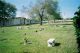 Entrance, Garden Sanctuary Cemetery, Seminole, Pinellas County, Florida