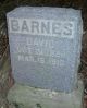 Headstone, Barnes, David (1836-1916)