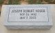 Headstone, Nosek, Joseph Robert