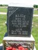 Headstone, Wilkins, Alice and J. H.