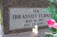 Headstone, Turner, Iva ('Brassie')