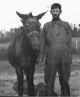 Charlie McDowell and his mule, 'Ole Beck'