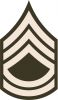 Sergeant First Class (abbreviated as SFC) (paygrade E-7), United States Army
