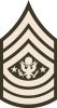 Sergeant Major of the Army (abbreviated as SMA) (paygrade E-9), United States Army