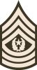 Command Sergeant Major, (abbreviated as CSM) (paygrade E-9), United States Army