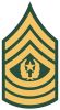 Command Sergeant Major (abbreviated as CSM) (paygrade E-9), United States Army