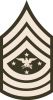 Senior Enlisted Advisor to the Chairman, (abbreviated as SEAC) (paygrade E-9), United States Army