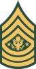 Sergeant Major of the Army (abbreviated as SMA) (paygrade E-9), United States Army