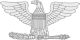 Colonel (abbreviated as COL) (paygrade O-6), United States Army and United States Air Force Colonel (abbreviated as COL) (paygrade O-6), United States Army and United States Air Force