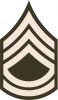 Sergeant First Class (abbreviated as SFC) (paygrade E-7), United States Army Sergeant First Class (abbreviated as SFC) (paygrade E-7), United States Army