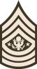 Sergeant Major of the Army (abbreviated as SMA) (paygrade E-9), United States Army Sergeant Major of the Army (abbreviated as SMA) (paygrade E-9), United States Army