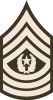 Command Sergeant Major, (abbreviated as CSM) (paygrade E-9), United States Army Command Sergeant Major, (abbreviated as CSM) (paygrade E-9), United States Army