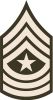 Sergeant Major (abbreviated as SGM) (paygrade E-9), United States Army Sergeant Major (abbreviated as SGM) (paygrade E-9), United States Army