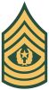 Command Sergeant Major (abbreviated as CSM) (paygrade E-9), United States Army Command Sergeant Major (abbreviated as CSM) (paygrade E-9), United States Army