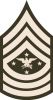 Senior Enlisted Advisor to the Chairman, (abbreviated as SEAC) (paygrade E-9), United States Army Senior Enlisted Advisor to the Chairman, (abbreviated as SEAC) (paygrade E-9), United States Army