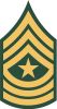 Sergeant Major (abbreviated as SGM) (paygrade E-9), United States Army Sergeant Major (abbreviated as SGM) (paygrade E-9), United States Army